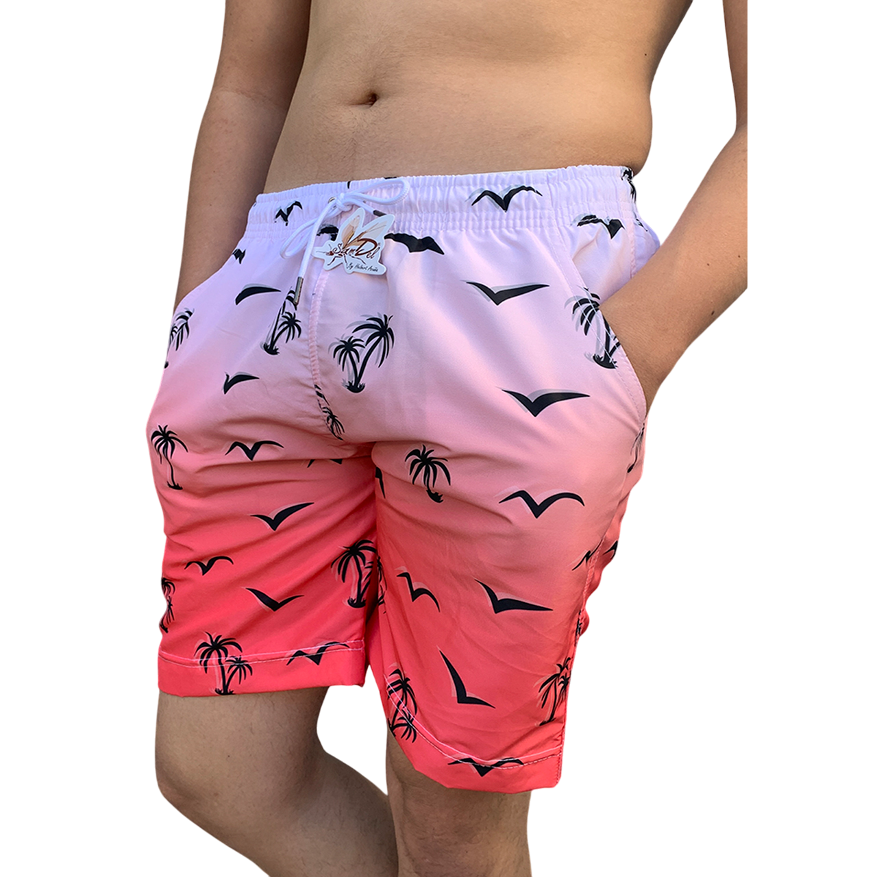 🛍️ Pantalonetas al Por Mayor – 🔥 Entre más cantidad, mejor precio 💰